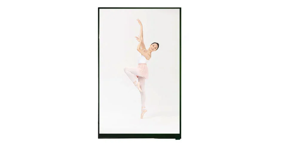 Z116001 Tipo de Barra de 11,6 Polegadas 1920*1080 IPS LCD Interface LVDS TFT