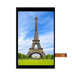 Z90018 Interface de alta definição de 9 polegadas 800*1280 LCD TFT 30PIN MIPI