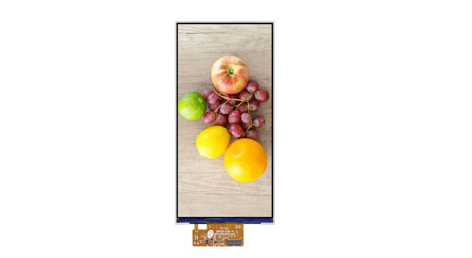 Z60036 6 polegadas 720*1480 TFT LCD Painel 720*1480 Resolução de Interface MIPI