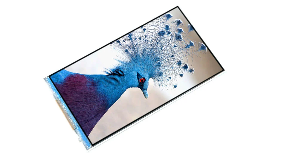 Z49399 500 lêndeas 5 polegadas 480*854 TFT tela ST7701S controlador RGB SPI Interface