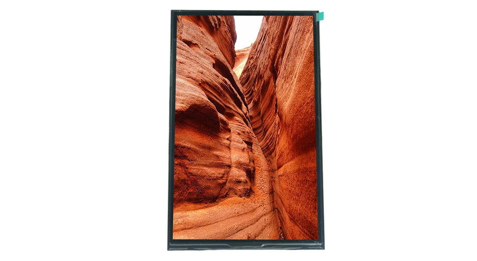 Z101020 LCD fabricante personalizado 10.1 800*1280 polegadas painel LCD GH8555 IC driver MIPI