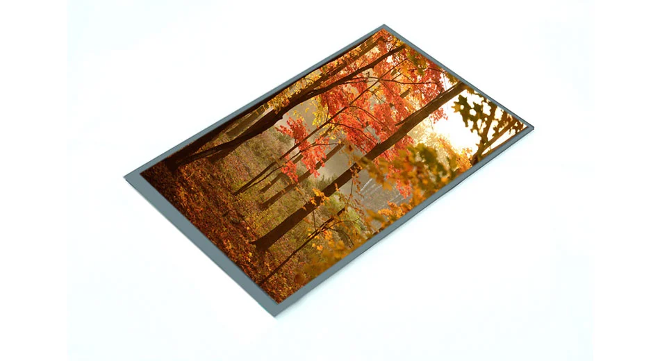 Z90006 9 polegadas 800*1280 500 lêndeas IPS tela LCD MIPI interface tipo TFT