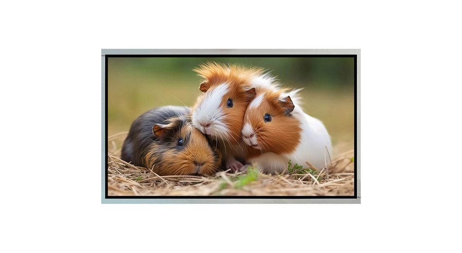 Z215001 21,5 polegadas tela monitor 1920x1080 LVDS interface de alta velocidade TFT LCD